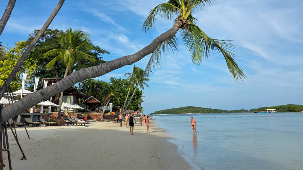 The famous bending palm tree at Chaweng Beach in Koh Samui