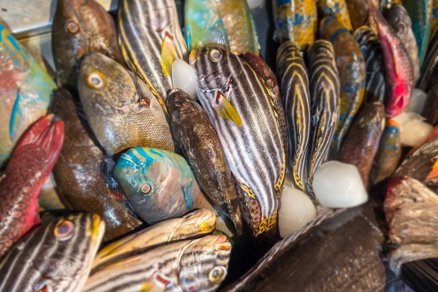 Fresh seafood displayed outside a restaurant in Nusa Lembongan, Bali.
