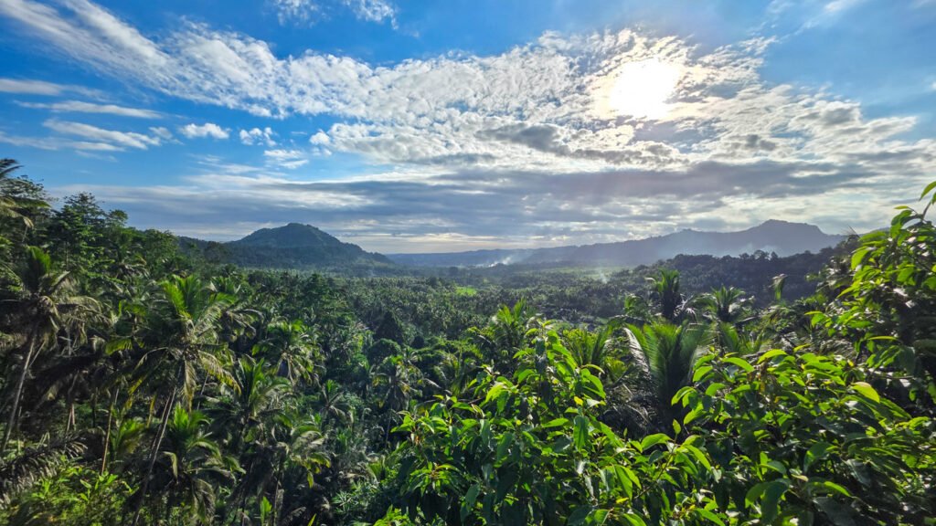 View across the Sidemen valley with rice terraces, tropical vegetation, and Mount Agung in the distance.